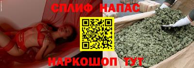 прущие грибы Ликино-Дулёво