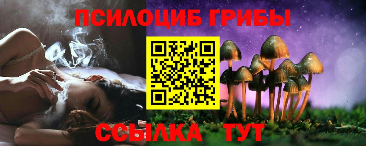 Псилоцибиновые грибы MAGIC MUSHROOMS  Вход с VPN  Галлюциногенные грибы Cubensis  Джанкой 